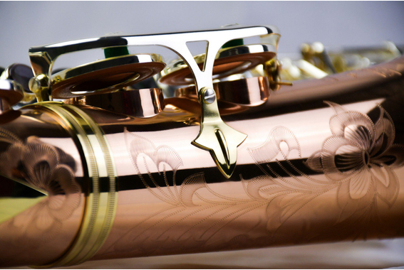 P. Mauriat Saxophone Alto SA-600 Venus image 4