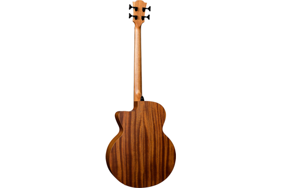 LAG HV10BCE HyVibe 10 Acoustic Bass image 4