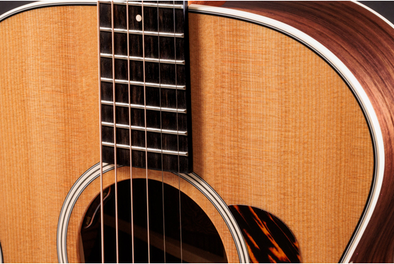 Taylor 712e Gold Label Westerngitaar image 4