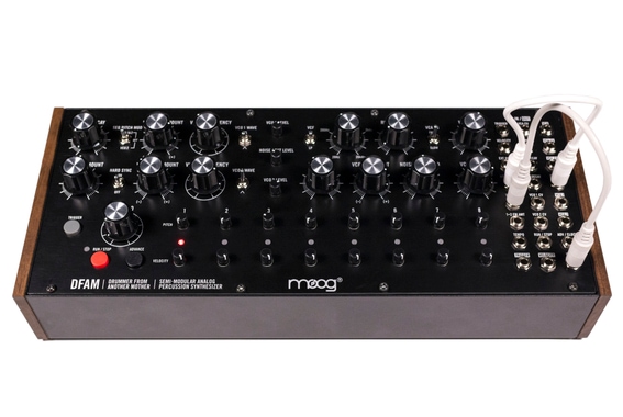 Moog DFAM image 4