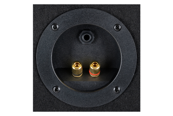 McGrey TP-10 DJ- en Partybox 400 W image 4