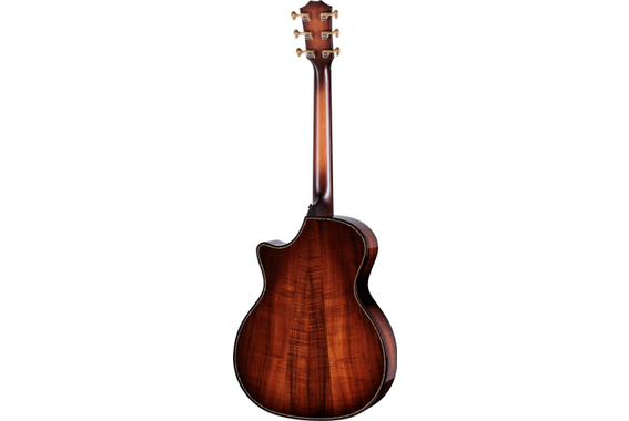 Taylor Next Generation Builder's Edition K24ce image 4