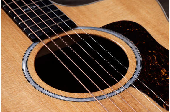 Taylor 214ce-K DLX image 4