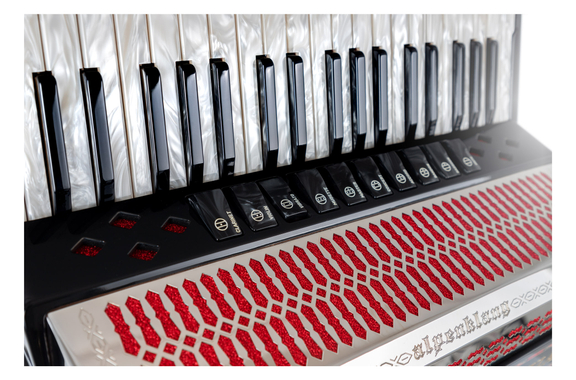 Alpenklang Pro Accordéon IV 96 MHR noir image 4