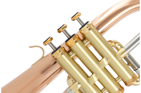 Lechgold FH-60GB Bugle en Sib brossé image 4