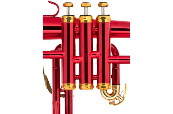 Lechgold FH-60AR Anima rossa Bb-fliscorno rojo image 4