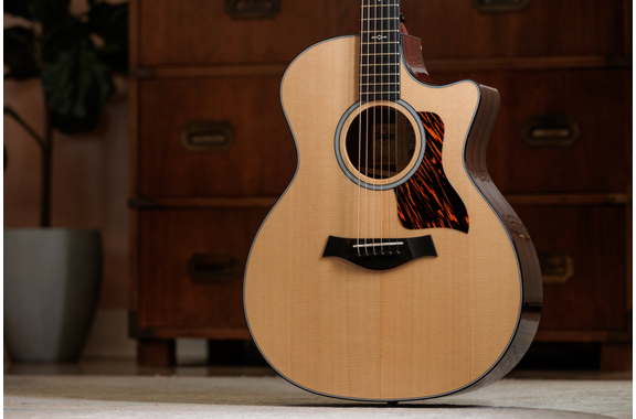 Taylor 314ce Next Generation image 4