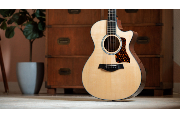 Taylor Next Generation 312ce (2026) image 4