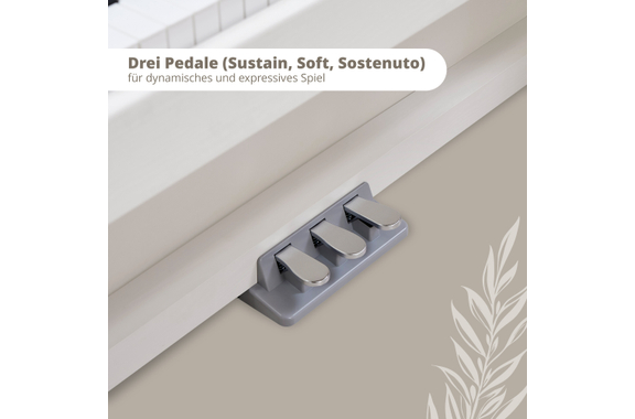 Classic Cantabile DP-220 WM E-Piano Bianco Opaco image 4