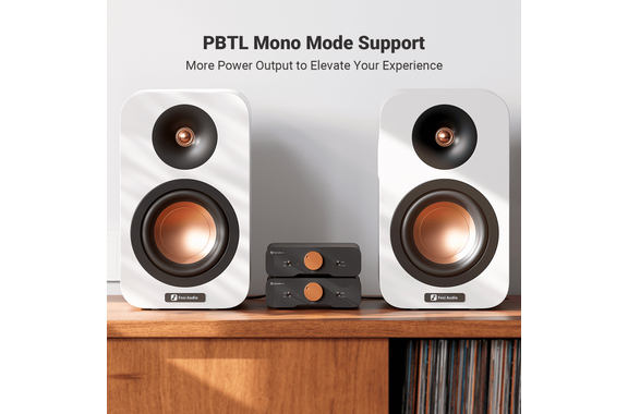 Fosi Audio ZA3 Mono/Stereo HiFi Verstärker image 4