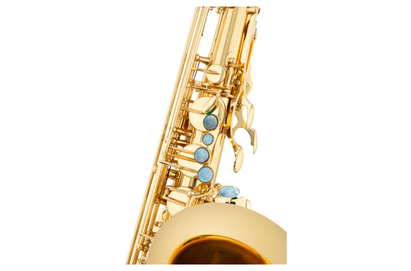 Lechgold LTS-20L Sassofono Tenore Verniciato image 4