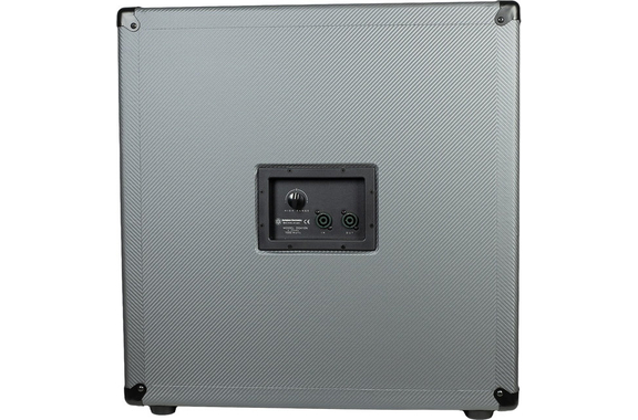 Darkglass DG410N Cabinet image 4