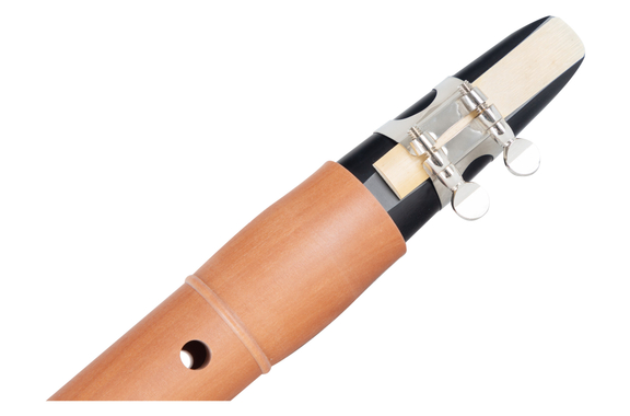 Classic Cantabile X-20, Taschensaxofoon SET incl. 2 x Vandoren rieten image 4