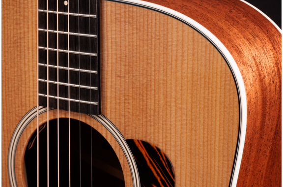 Taylor Gold Label 510e  image 4