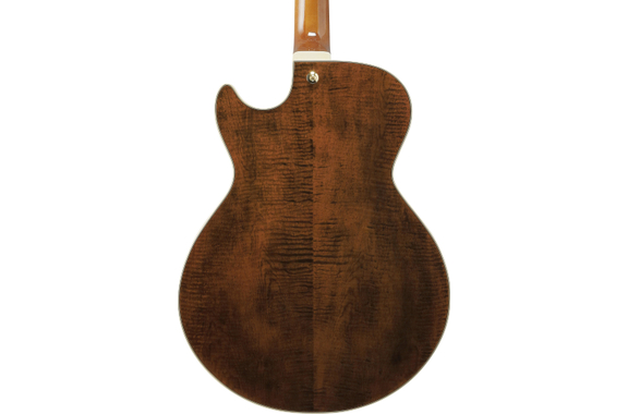 Ibanez AG95MG-DA Artcore Expressionist AG image 4