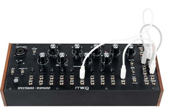 Moog Spectravox  image 4