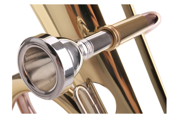 Classic Cantabile TH-38 Junior Tenorhorn Set image 4