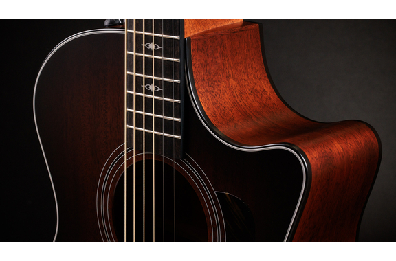 Taylor 324ce Baritone-6 Limited Edition image 4