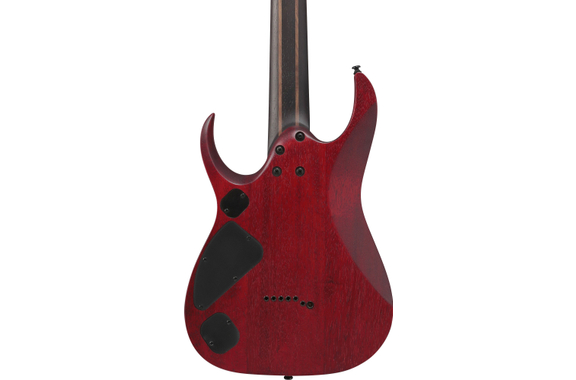 Ibanez RGD721FA-WUF RGD Stained Wine Red Burst Flat image 4