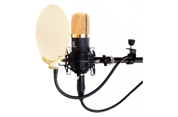 Pronomic PK-20G Popkiller (Popscherm) Metaal goud image 4
