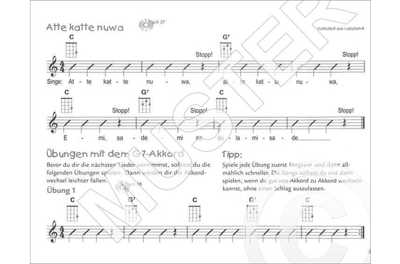 Garantiert Ukulele lernen image 4