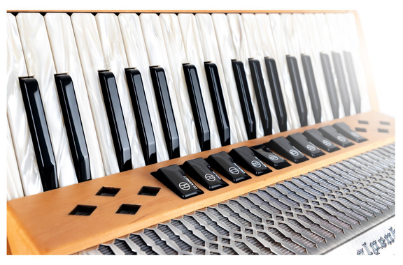Alpenklang Pro Accordéon IV 96 MH Orme image 4