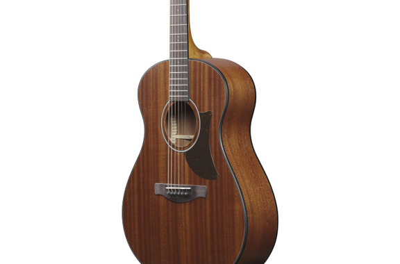 Ibanez AAM54-OPN Open Pore Natural image 4