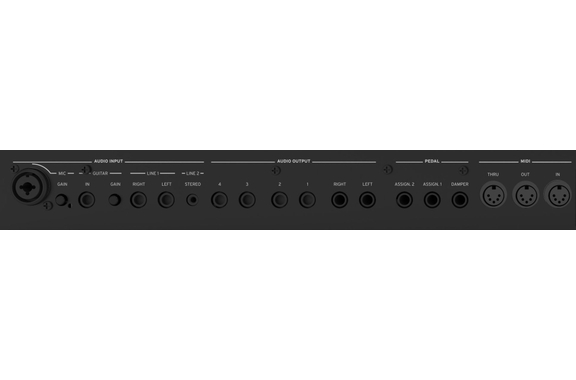 Korg Pa5X 88 Musikant Deluxe Set image 4