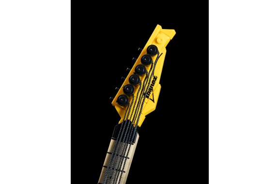 Ibanez RGBRYX-DY BRYX RG550-DY & TS808 - 411 Piezas image 4