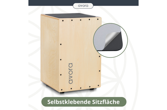 Avora Cajon Basswood image 4
