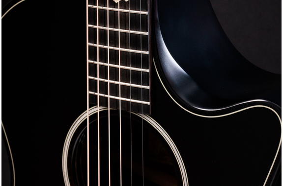 Taylor Builder's Edition 324ce Next Generation image 4