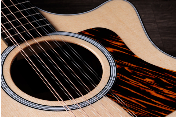 Taylor 454ce Next Generation image 4