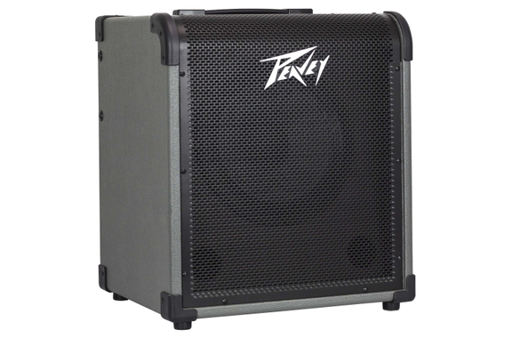 Peavey MAX 100 Bass Combo image 4