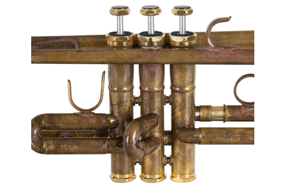 Lechgold TR-16V Trompeta Bb antigua image 4