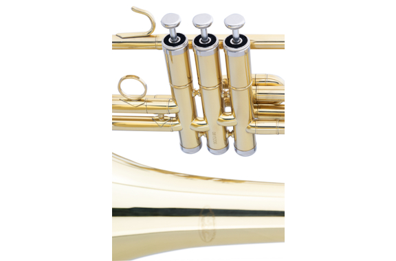 Classic Cantabile Brass VP-16 Trombone Tenore a Valvole image 4