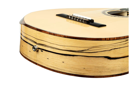 Ortega BYWSM Billy Watman Signature Guitar image 4