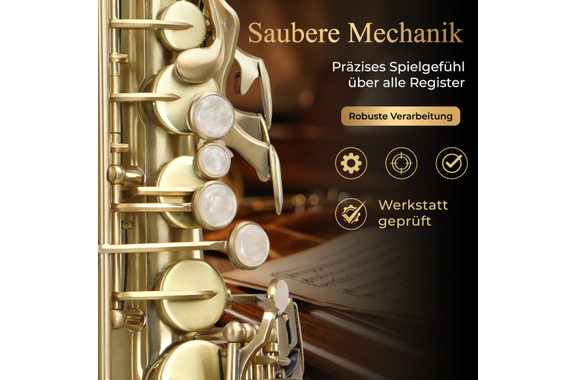 Classic Cantabile Winds AS-450 Brushed Eb Alto Saxophone Set image 4