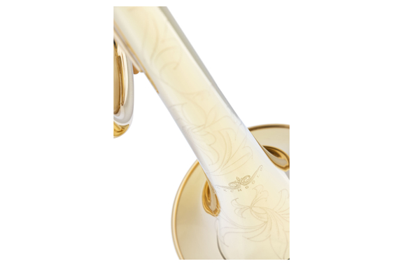 Lechgold TR-18L Trompette Bb laquée image 4