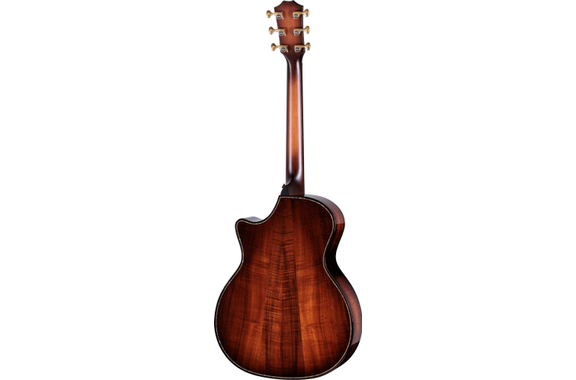 Taylor Next Generation Builder's Edition K24ce image 4