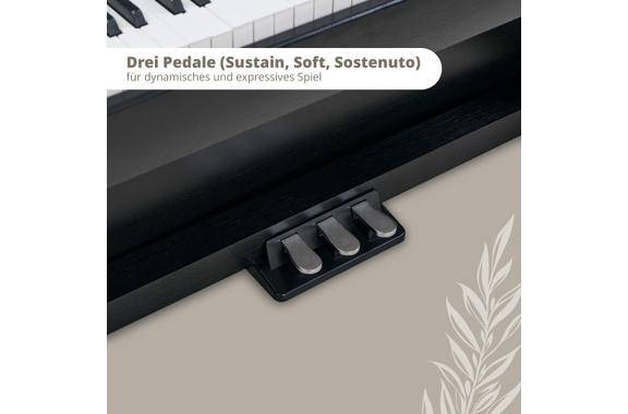 Classic Cantabile DP-220 SM E-Piano Nero Opaco image 4
