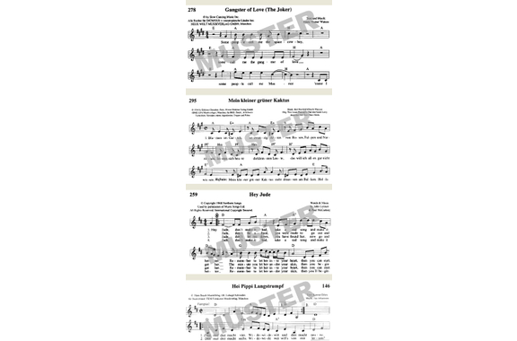 Da Capo Liederbuch Ringbuch image 4