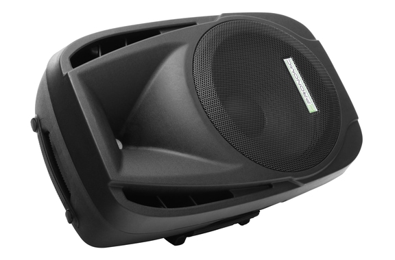 Pronomic PH12 Cassa Passiva 160/300 Watt image 4