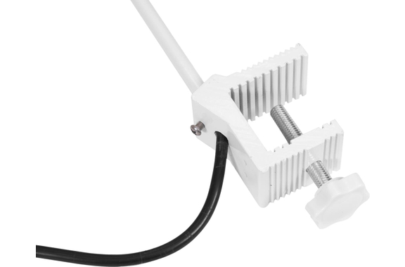 Eurolite LED KKL-30 Floodlight 4100K White image 4