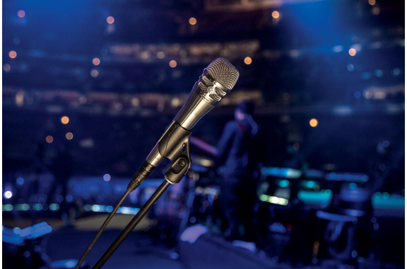 Shure KSM8 Dualdyne Nickel image 4