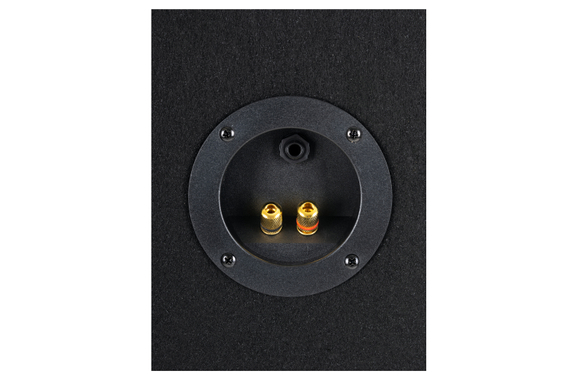 McGrey PowerDJ-212 Enceinte Passive, Paire 2 x 800W image 4