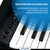 McGrey DP-19 SM E-Piano Schwarz matt Set thumbnail 5