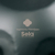 Sela 214 Harmony Handpan D Sabye  - 1A Showroom Modell (Zustand: wie neu, in OVP) thumbnail 5