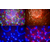 Showlite MEL-4 Multi-Effect-Light thumbnail 5