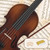 Classic Cantabile Student Violinset 1/2 thumbnail 5