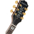 Epiphone Sheraton Figured Exklusive Iced Tea thumbnail 5